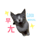 hello.7（個別スタンプ：3）