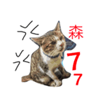 hello.7（個別スタンプ：4）