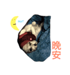 hello.7（個別スタンプ：5）