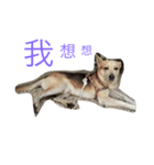 hello.7（個別スタンプ：8）