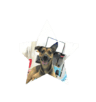 meimei meidog（個別スタンプ：4）