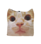 my cat meowth（個別スタンプ：8）