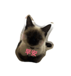 mini file（個別スタンプ：7）
