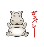 たいだヒッポ（個別スタンプ：4）