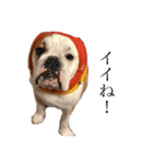 SABU and GANMO（個別スタンプ：10）
