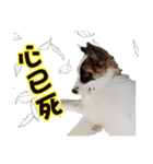I AM A-DAIN（個別スタンプ：5）
