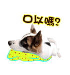 I AM A-DAIN（個別スタンプ：7）