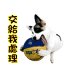 I AM A-DAIN（個別スタンプ：9）