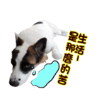 I AM A-DAIN（個別スタンプ：16）