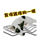I AM A-DAIN（個別スタンプ：18）