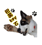 I AM A-DAIN（個別スタンプ：24）
