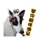 I AM A-DAIN（個別スタンプ：26）