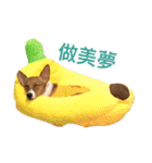 Rocket life（個別スタンプ：2）