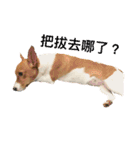 Rocket life（個別スタンプ：3）
