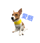 Rocket life（個別スタンプ：7）