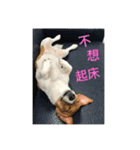 Rocket life（個別スタンプ：9）