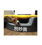 Rocket life（個別スタンプ：12）