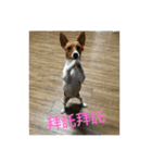 Rocket life（個別スタンプ：14）