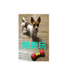 Rocket life（個別スタンプ：15）