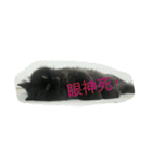 Home with 2 cats.（個別スタンプ：15）