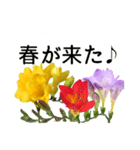 暮らしに花を♪フリージア（個別スタンプ：1）