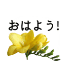 暮らしに花を♪フリージア（個別スタンプ：2）