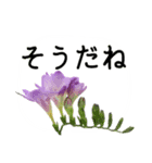 暮らしに花を♪フリージア（個別スタンプ：6）