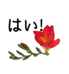 暮らしに花を♪フリージア（個別スタンプ：8）