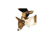 shhh and gobo.（個別スタンプ：18）