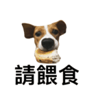 shhh and gobo.（個別スタンプ：29）