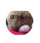 うさぎの気もち（個別スタンプ：2）