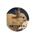 うさぎの気もち（個別スタンプ：3）