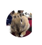 うさぎの気もち（個別スタンプ：7）