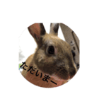うさぎの気もち（個別スタンプ：8）