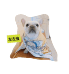 JohnJohnDyson（個別スタンプ：3）