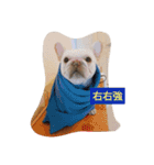 JohnJohnDyson（個別スタンプ：4）