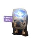JohnJohnDyson（個別スタンプ：5）