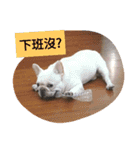 JohnJohnDyson（個別スタンプ：9）