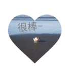 JohnJohnDyson（個別スタンプ：11）