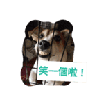 JohnJohnDyson（個別スタンプ：12）