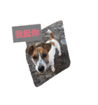 JohnJohnDyson（個別スタンプ：14）