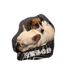 JohnJohnDyson（個別スタンプ：16）
