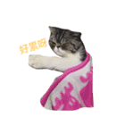 QQ is so QQ（個別スタンプ：1）