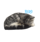 QQ is so QQ（個別スタンプ：4）