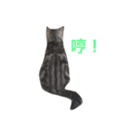 QQ is so QQ（個別スタンプ：5）