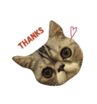 QQ is so QQ（個別スタンプ：7）