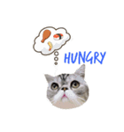 QQ is so QQ（個別スタンプ：9）