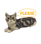 QQ is so QQ（個別スタンプ：10）