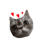 QQ is so QQ（個別スタンプ：11）