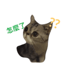 QQ is so QQ（個別スタンプ：13）